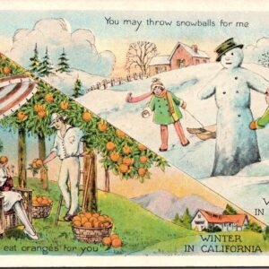 Winter In California Winter In The East Postcard