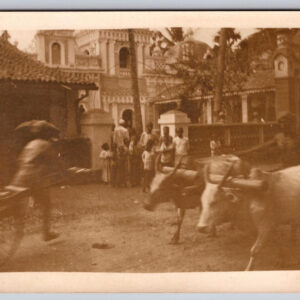 Family In Front Of Home Nice Home India With Oxen RPPC Postcard ?? Vintage Card