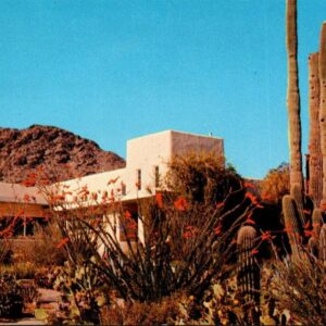 Camelback Inn Near Phoenix Arizona Postcard Unposted