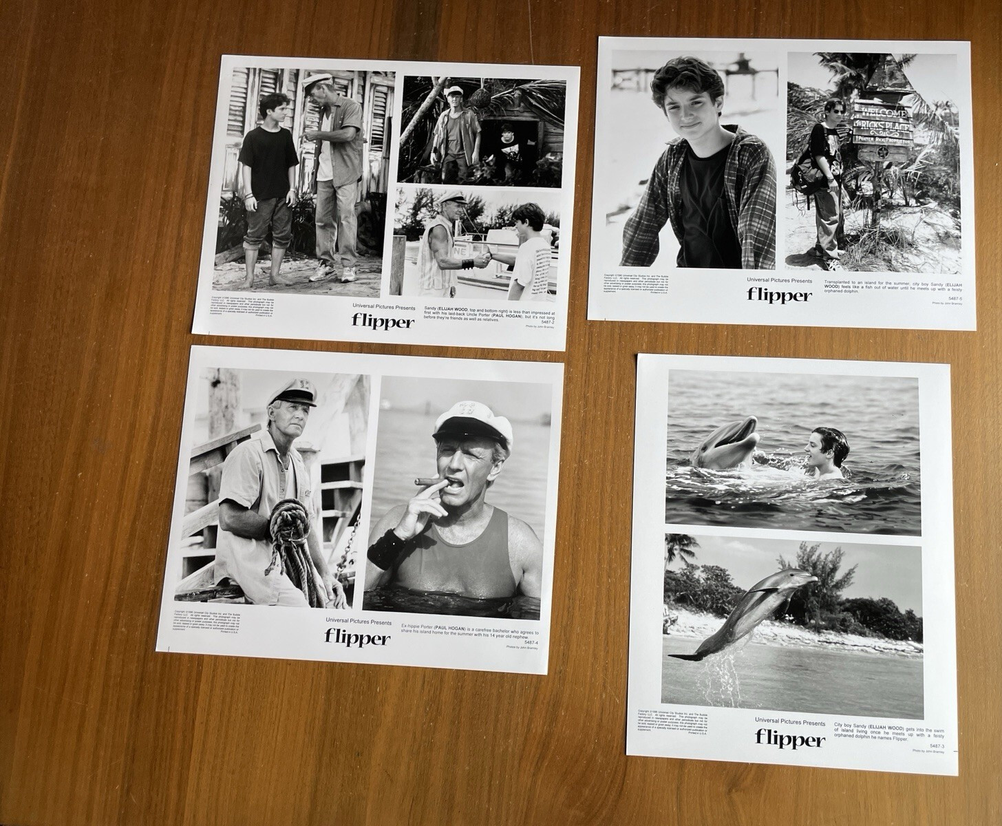 Flipper Movie Photo Lot Of 4 Elijah Wood Photo 8 x 10