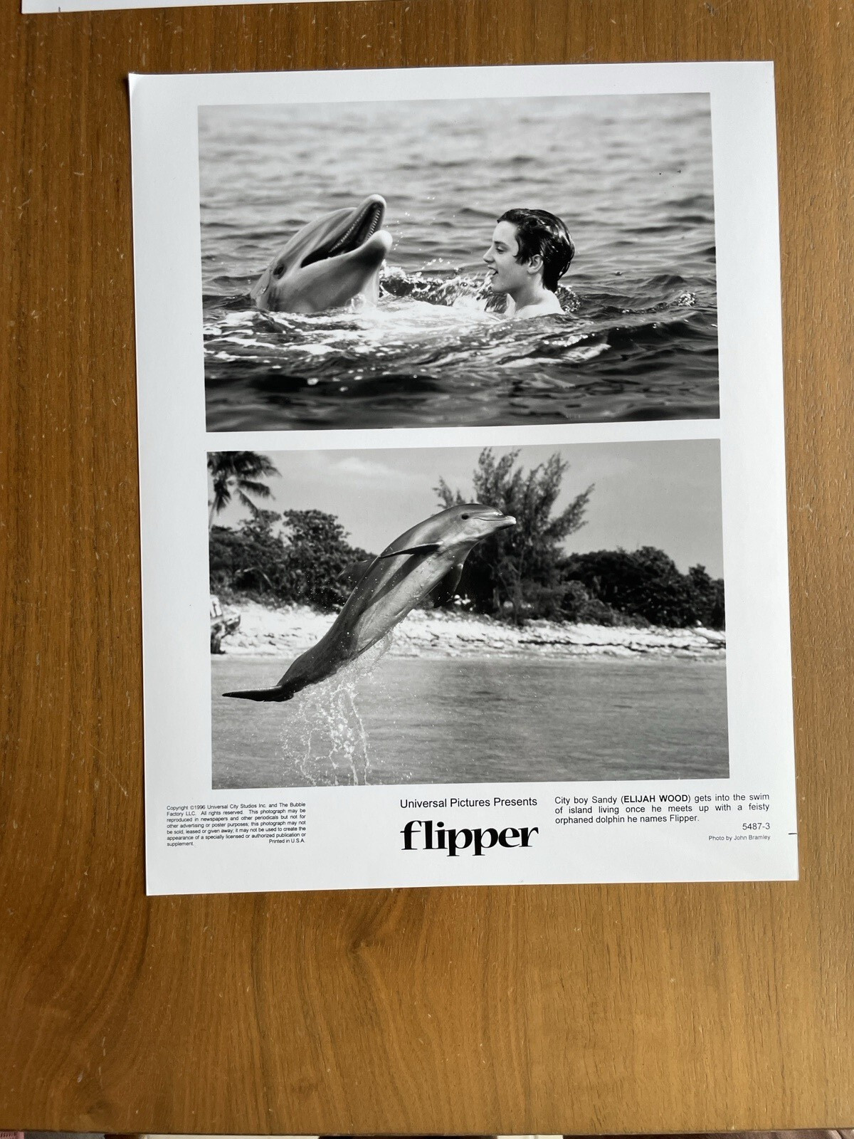 Flipper Movie Photo Lot Of 4 Elijah Wood Photo 8 x 10 - Image 3