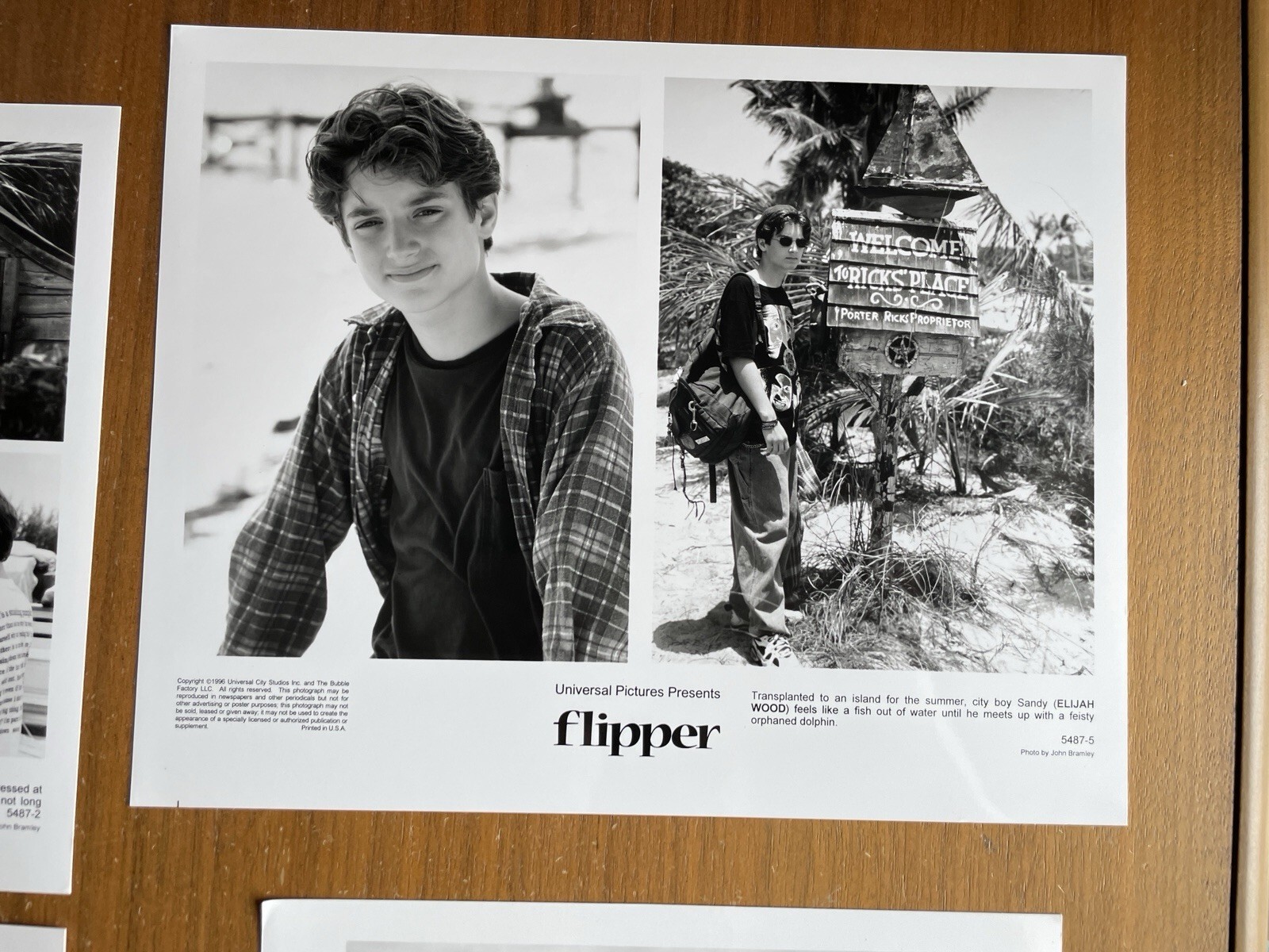 Flipper Movie Photo Lot Of 4 Elijah Wood Photo 8 x 10 - Image 4