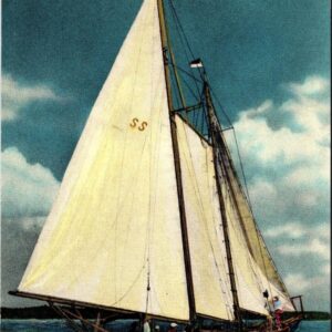 Yachting On The Great Kentucky Lake Sailboat Postcard
