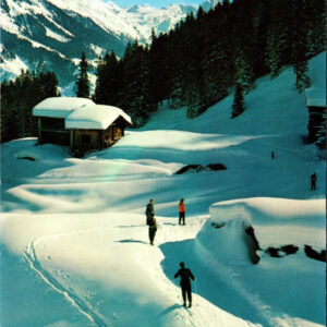 Winter In The Mountains Postcard