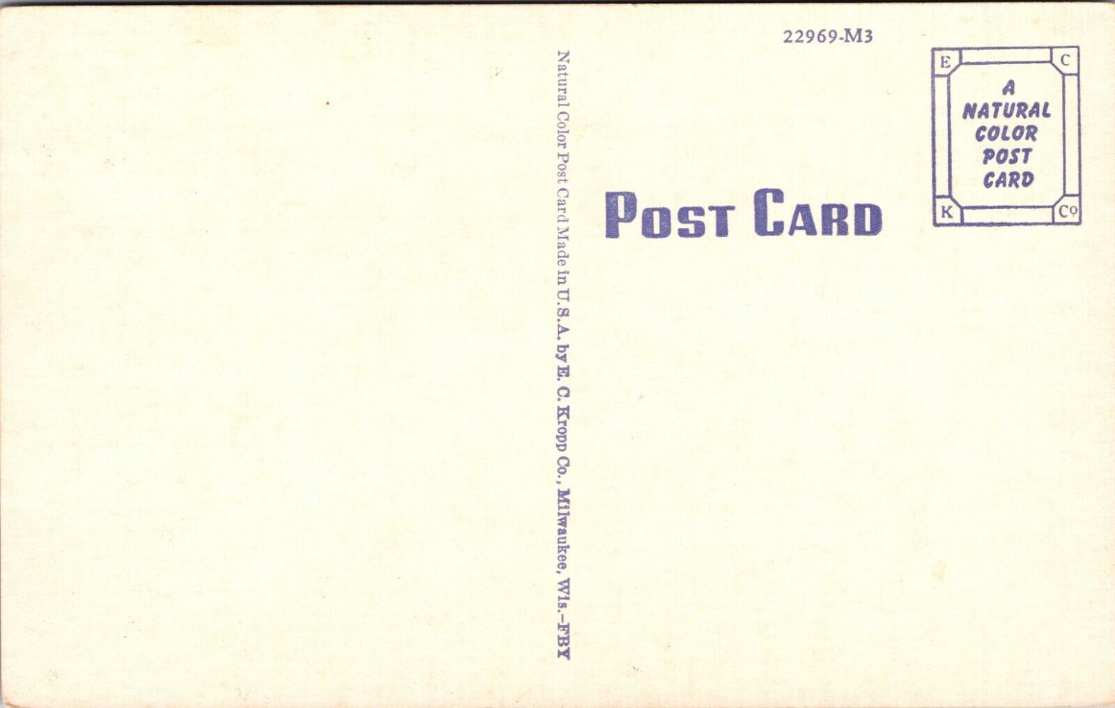Wild Game Of The West Postcard - Image 2