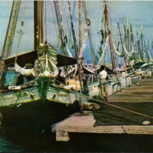 Three Schooners At Oranjestad's Schooner Harbor Aruba Postcard
