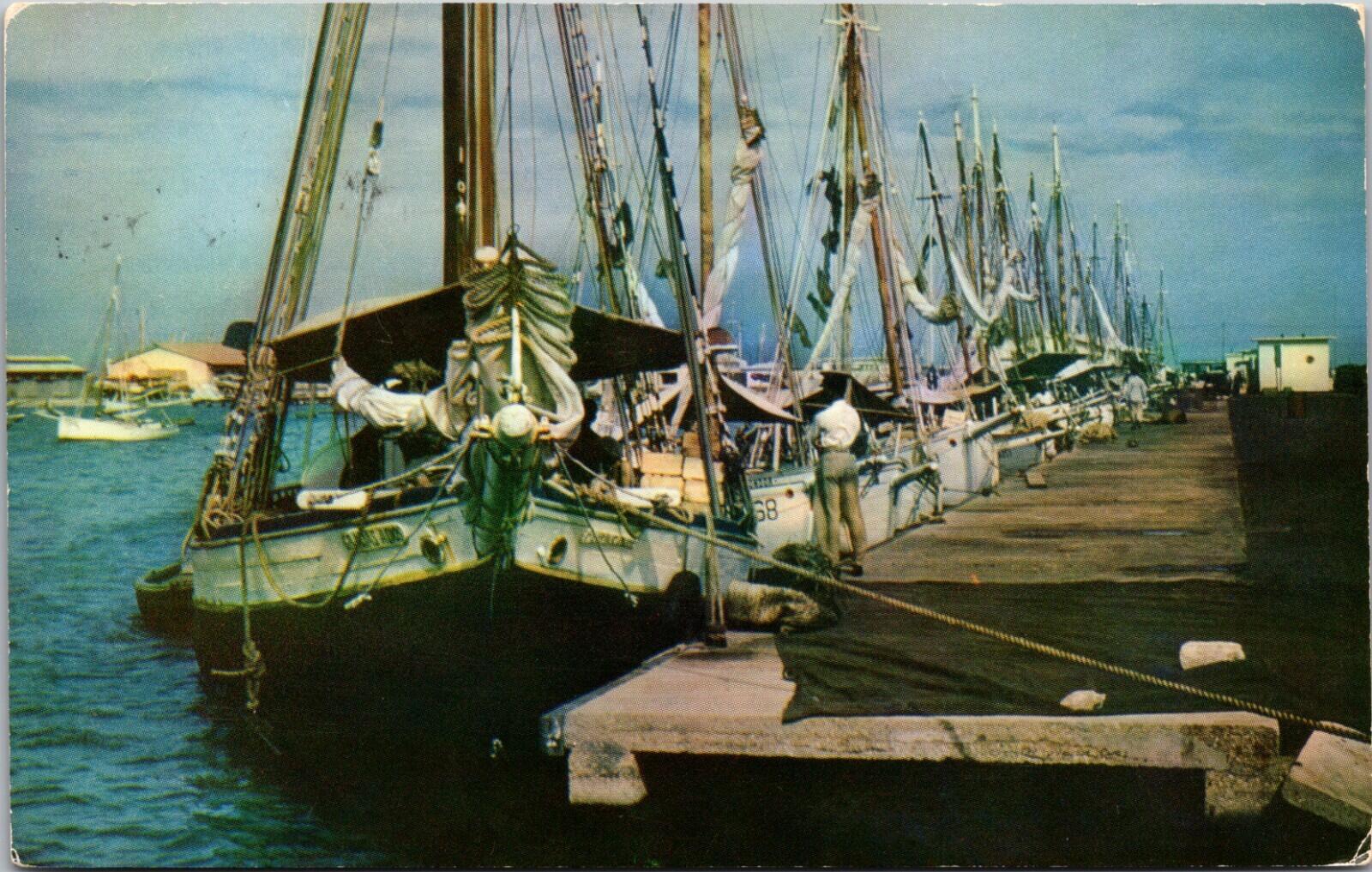 Three Schooners At Oranjestad's Schooner Harbor Aruba Postcard