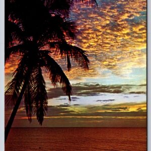 Tropical Sunset Postcard