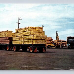 Trucks Loading At Union Lumber Company Fort Bragg California Postcard