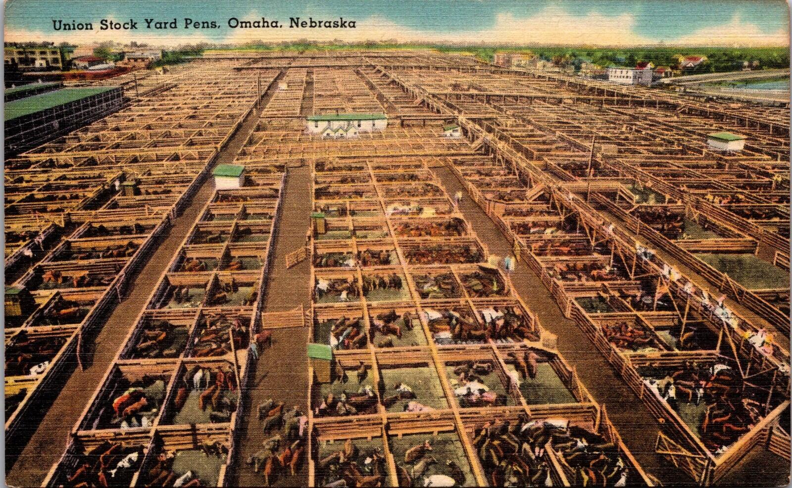 Union Stock Yard Pens Omaha Nebraska Postcard Unposted