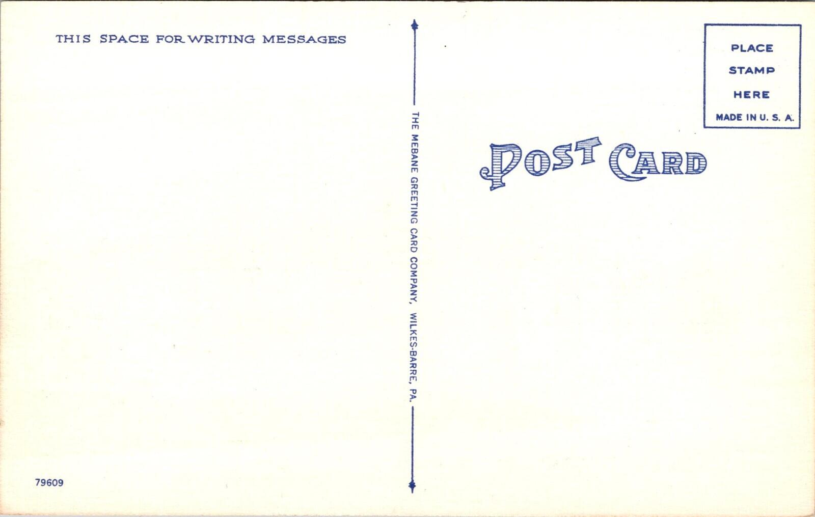 United States Post Office Sunbury Pennsylvania Postcard - Image 2
