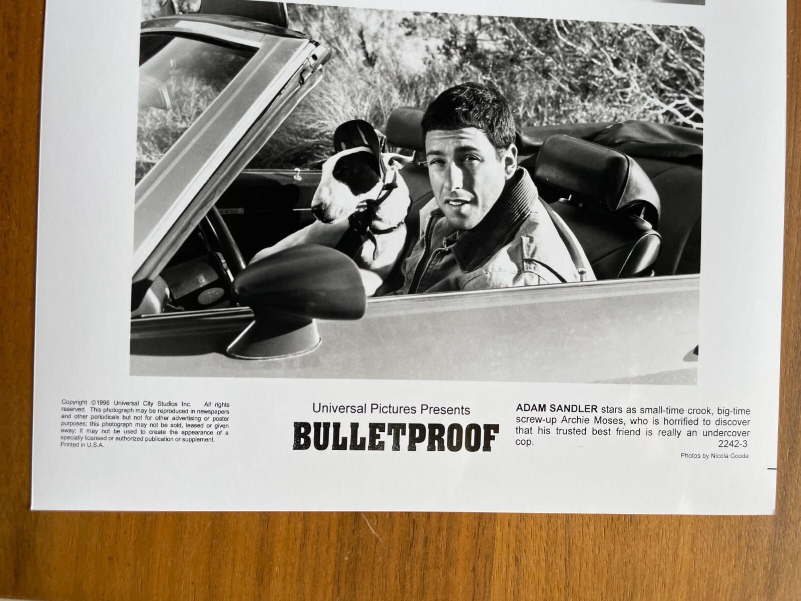 Adam Sandler Photo Bulletproof Movie Photo 8 x 10 Photograph - Image 4