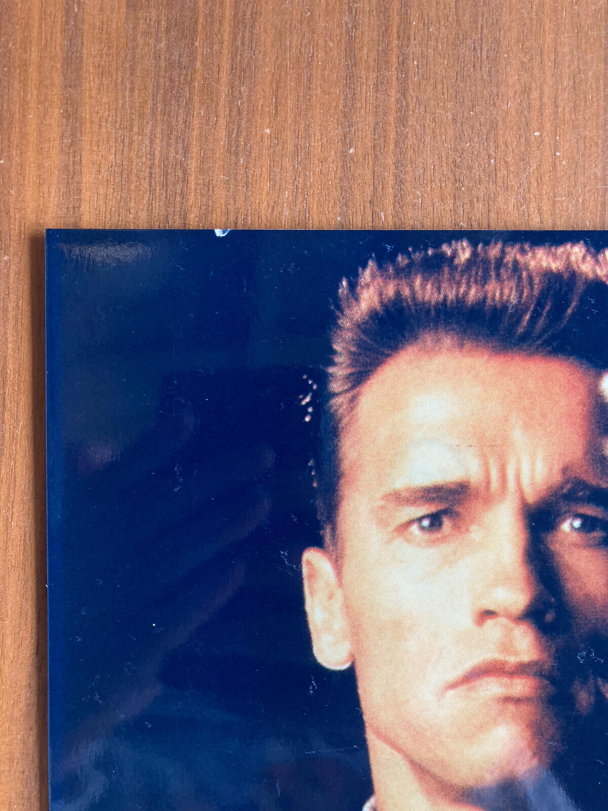 Arnold Schwarzenegger Photo Actor Photo - Image 2